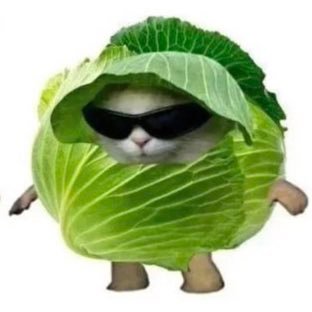 Natayayaman's profile picture. Random posts account- whatever I feel like atm d(￣ ￣)