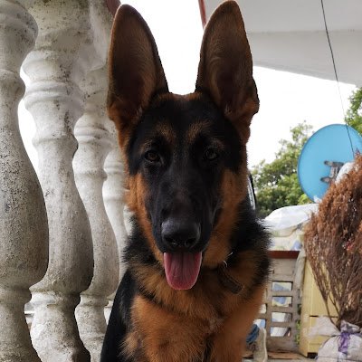 HYRO117's profile picture. 