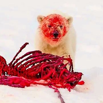 babeinvenus's profile picture. the greatest mishmash of earth stuff