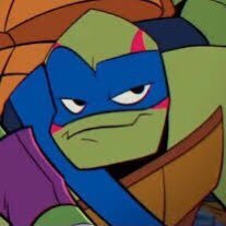 nothing but turtles; head empty -tell me if I follow someone disgusting- || Second in command of the @muddyallium fanclub ||