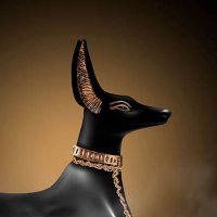 WithoutHistory (@withouthistory) 's Twitter Profile Photo WithoutHistory (@withouthistory) 's Twitter Profile Photo