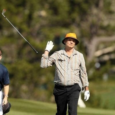 sdavi317's profile picture. 