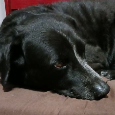 Mimiofmany2's profile picture. 