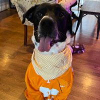 Trevor Reeves (@theturkeyvolcha) 's Twitter Profile Photo Trevor Reeves (@theturkeyvolcha) 's Twitter Profile Photo