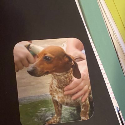 marypowl22_mary's profile picture. 