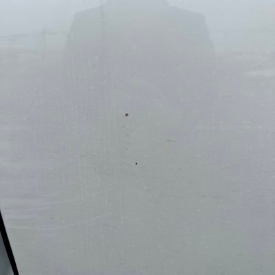 edwartine's profile picture. old profile