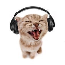 jojosnerd's profile picture. something sweet for the kids || no tw