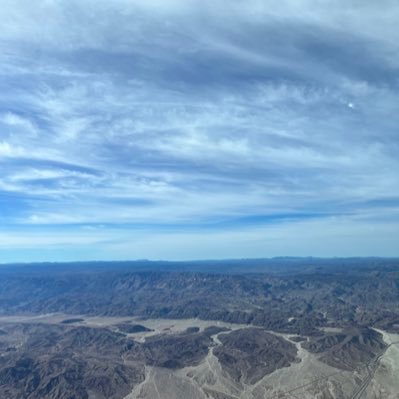 wheeyls's profile picture. 