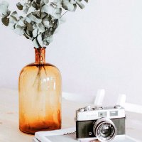 Fulya (@fulya741) 's Twitter Profile