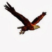 عراق القانون. (@alqanwnraq) Twitter profile photo