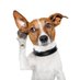 New York Times Education Pitchbot (@greyladiesnyc) Twitter profile photo New York Times Education Pitchbot (@greyladiesnyc) Twitter profile photo