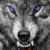 Saeedjamh (@saeedjamh) Twitter profile photo Saeedjamh (@saeedjamh) Twitter profile photo