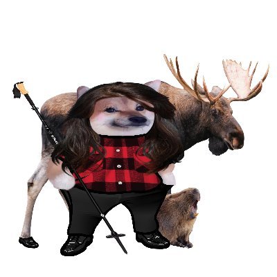 tarzansgrrl's profile picture. 