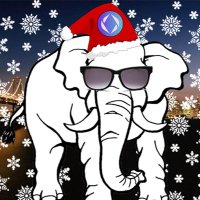 whiteelephant.eth bello.eth mafioso.eth (@whiteelephant97) 's Twitter Profile