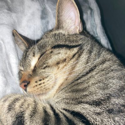 HendricksonRisa's profile picture. 10 feet tall with 3 arms and 1 giant eye