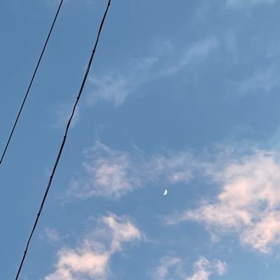 yokuneru22's profile picture. （25）