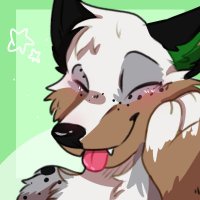 🌿 Oliver || CoffeeCanine ☕ (@thecoffeeaussie) 's Twitter Profile