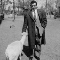 D-Witz (@dwitz34) 's Twitter Profile