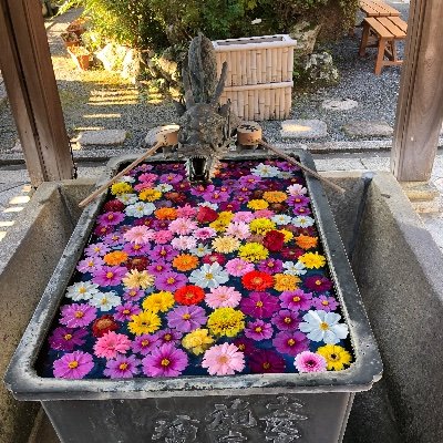 hanaSeika23's profile picture. 