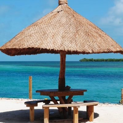 jayxiji's profile picture. No DM. Proud Asian American, moderate, independent against radical left and MAGA Trump (not all conservatives)