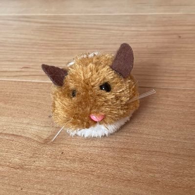久吾さんのプロフィール画像