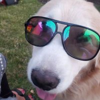 Bobby Narang (@bobnarang) 's Twitter Profile