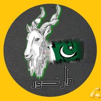 Hamid Ali Jutt🇵🇰 (@hamidjut08) 's Twitter Profile