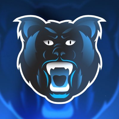 🇨🇦 l Official Twitter of the competitve @EASPORTSNHL team 🐻 l Top 16 @NHLDucksGaming l Official team Twitch https://t.co/tvOuX9fFB1 📲.