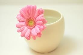 pinkmamilove's profile picture. 人生楽しくｅｎｊｏｙ中～～♪　仲良くしてくださいね！！　