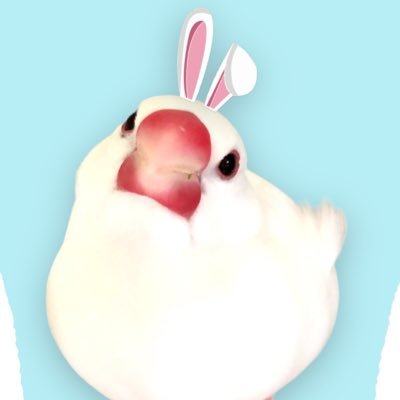 狐鳥※低浮上さんのプロフィール画像