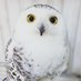 Biotaa (@biotaa) Twitter profile photo Biotaa (@biotaa) Twitter profile photo