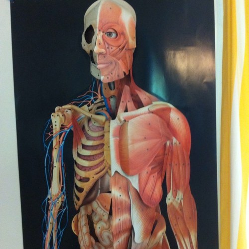 AlexZoonekynd's profile picture. 