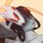 Nash_536's profile image
