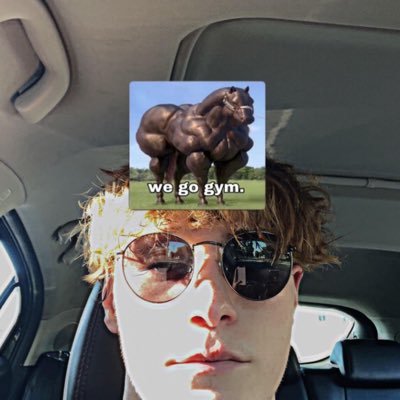 CCcar_knee's profile picture. OBU nursing 2024. VBHS ‘19 alum