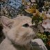 silver_19 (@atf_2_0) Twitter profile photo silver_19 (@atf_2_0) Twitter profile photo