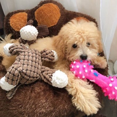 sasamn__'s profile picture. 