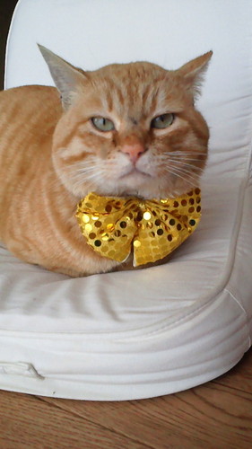 wtoptemple's profile picture. ONE LOVE 久慈　毎月第3土曜日は岩手県久慈市ハーバスト！！！