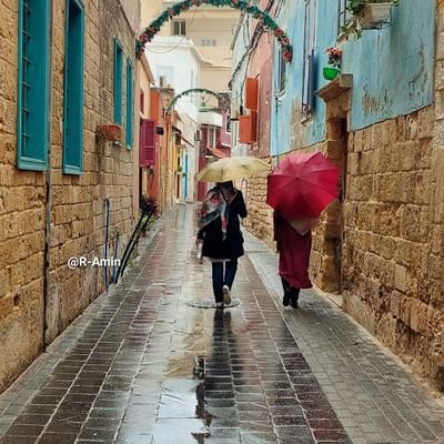 youssef77448764's profile picture. 