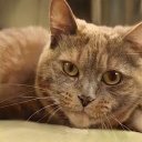 Dickerson Chad - @DickersonChad2 - Twitter