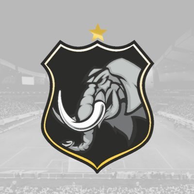 🏁🐘 Portal de notícias e mídias dedicado ao ABC Futebol Clube, o MAIOR e MAIS QUERIDO clube do RN! 🔲🔳 #LoucuraSemCura - Desde 08/01/2012