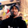 Greyibra10's profile picture. 