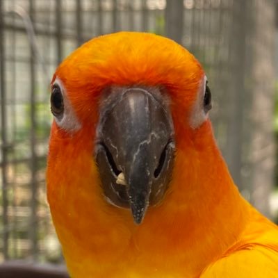 ギターが好き。上手ではないですが、昔からチマチマ料理をしてます。動物、特にインコが好き。ゲームも好き。漫画のゴールデンカムイのファン。そして婚活中(何もしてないけど)。坂戸市に生息。自転車にゆるくハマり週末はポタ。ポタリング仲間が欲しい。怪しいの以外フォロバします。