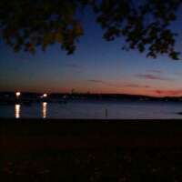 svanhildo's profile picture. 