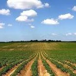 paxlash's profile picture. 