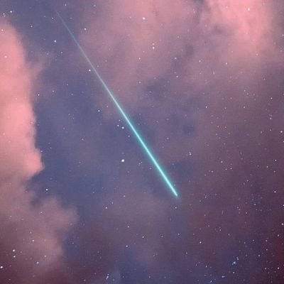 mintvenom's profile picture. 