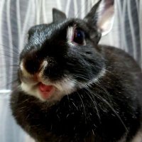 煉 (@mag5616) 's Twitter Profile Photo