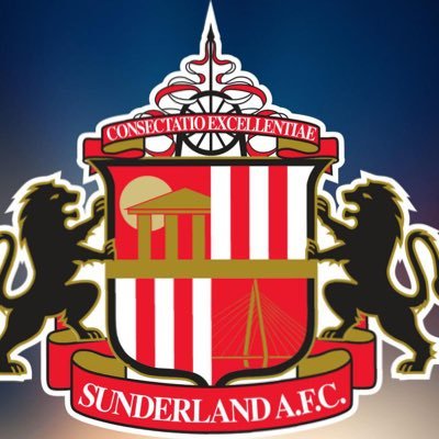 24/7 quote victim, chriss rigg fanclub president and safc season ticket holder. Reply warrior, marvel fan, and history enjoyer - ✝️