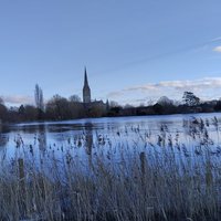 Salisbury life (@salisburylife) 's Twitter Profile