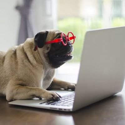 everybodyismad's profile picture. Traveller
