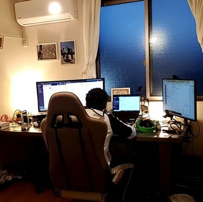 lemon_solt's profile picture. dev